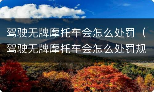 驾驶无牌摩托车会怎么处罚（驾驶无牌摩托车会怎么处罚规定）