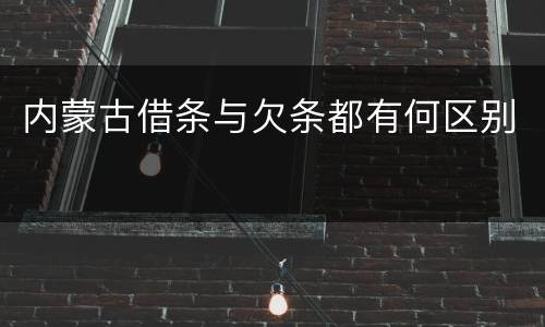 内蒙古借条与欠条都有何区别