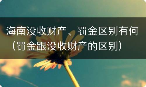 海南没收财产、罚金区别有何（罚金跟没收财产的区别）