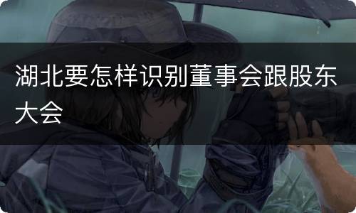 湖北要怎样识别董事会跟股东大会