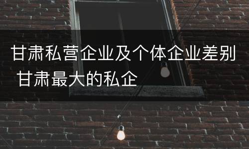 甘肃私营企业及个体企业差别 甘肃最大的私企