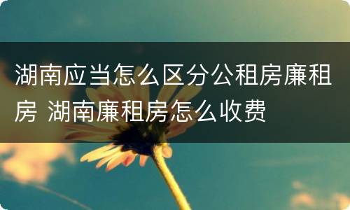 湖南应当怎么区分公租房廉租房 湖南廉租房怎么收费