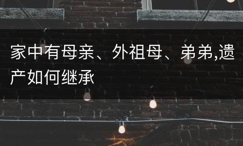 家中有母亲、外祖母、弟弟,遗产如何继承