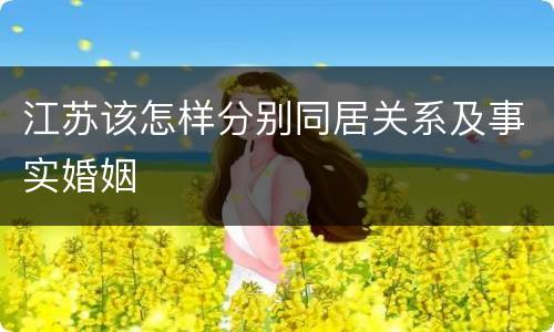 江苏该怎样分别同居关系及事实婚姻