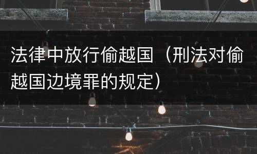 法律中放行偷越国（刑法对偷越国边境罪的规定）