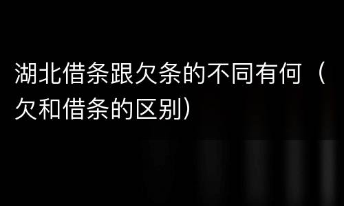 湖北借条跟欠条的不同有何（欠和借条的区别）