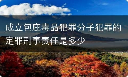 成立包庇毒品犯罪分子犯罪的定罪刑事责任是多少