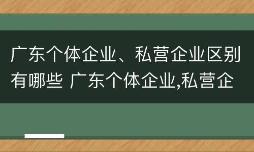 广东个体企业、私营企业区别有哪些 广东个体企业,私营企业区别有哪些方面