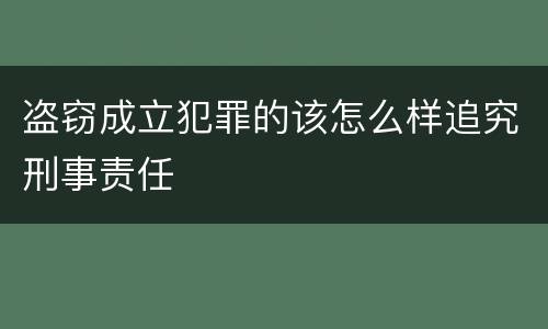 盗窃成立犯罪的该怎么样追究刑事责任