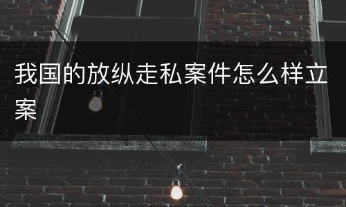 我国的放纵走私案件怎么样立案