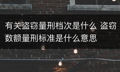 有关盗窃量刑档次是什么 盗窃数额量刑标准是什么意思