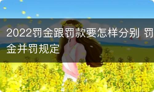 2022罚金跟罚款要怎样分别 罚金并罚规定