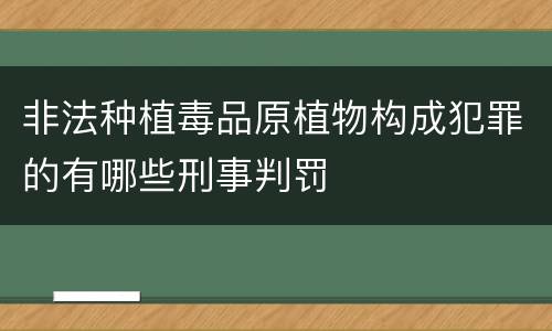 非法种植毒品原植物构成犯罪的有哪些刑事判罚