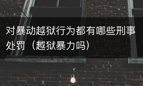对暴动越狱行为都有哪些刑事处罚（越狱暴力吗）