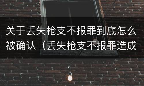 关于丢失枪支不报罪到底怎么被确认（丢失枪支不报罪造成严重后果）