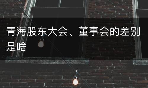 青海股东大会、董事会的差别是啥