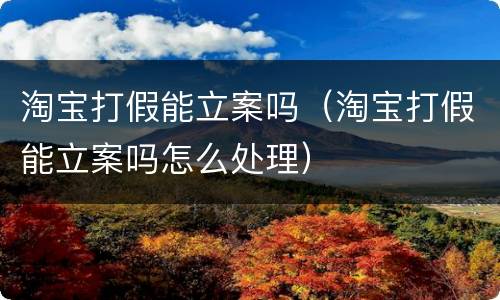 淘宝打假能立案吗（淘宝打假能立案吗怎么处理）