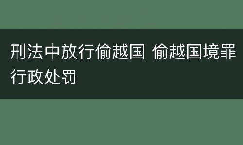 刑法中放行偷越国 偷越国境罪行政处罚