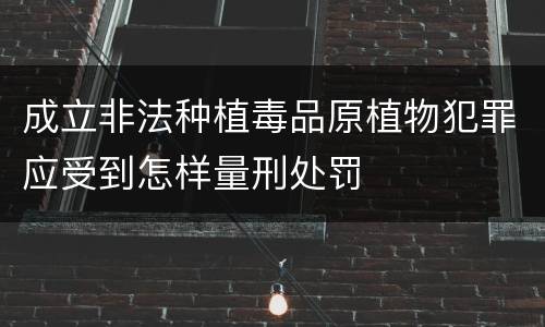 成立非法种植毒品原植物犯罪应受到怎样量刑处罚