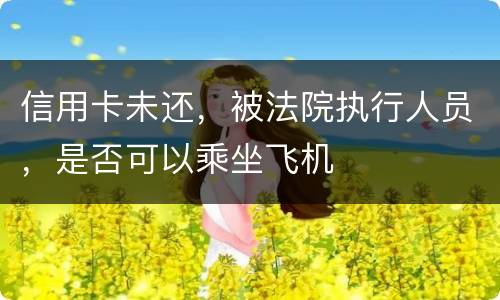 信用卡未还，被法院执行人员，是否可以乘坐飞机