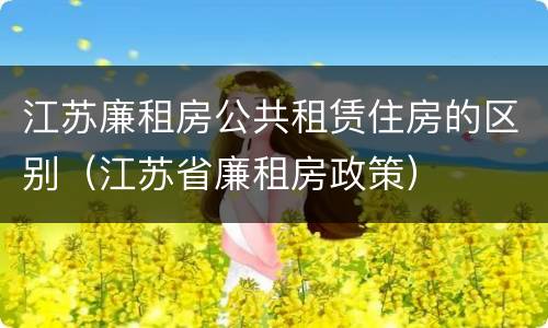 江苏廉租房公共租赁住房的区别（江苏省廉租房政策）