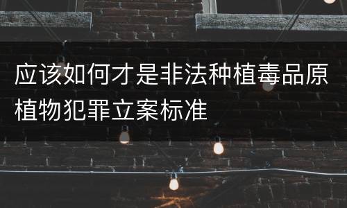应该如何才是非法种植毒品原植物犯罪立案标准
