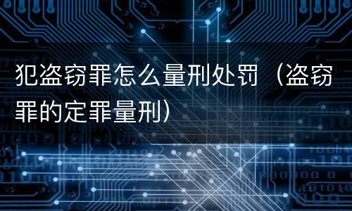 犯盗窃罪怎么量刑处罚（盗窃罪的定罪量刑）