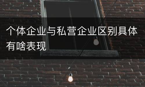 个体企业与私营企业区别具体有啥表现