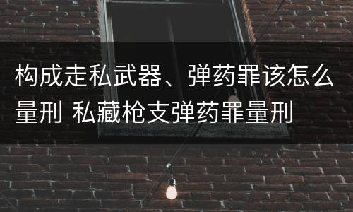 构成走私武器、弹药罪该怎么量刑 私藏枪支弹药罪量刑