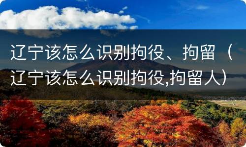 辽宁该怎么识别拘役、拘留（辽宁该怎么识别拘役,拘留人）