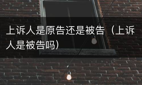 上诉人是原告还是被告（上诉人是被告吗）