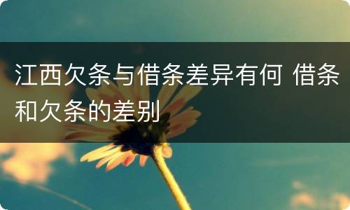 江西欠条与借条差异有何 借条和欠条的差别