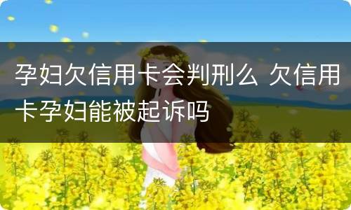 孕妇欠信用卡会判刑么 欠信用卡孕妇能被起诉吗