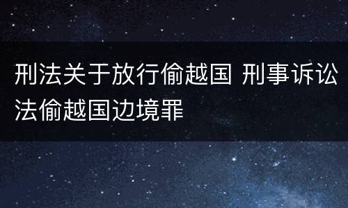刑法关于放行偷越国 刑事诉讼法偷越国边境罪