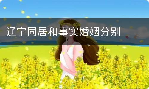 辽宁同居和事实婚姻分别
