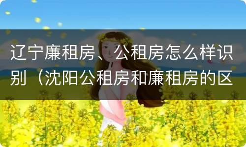 辽宁廉租房、公租房怎么样识别（沈阳公租房和廉租房的区别）