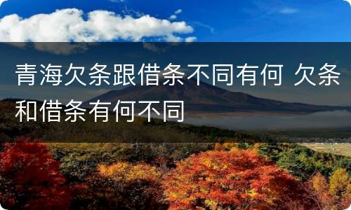 青海欠条跟借条不同有何 欠条和借条有何不同