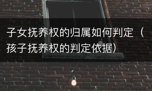 子女抚养权的归属如何判定（孩子抚养权的判定依据）