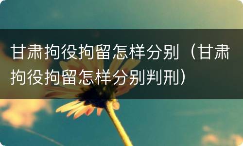 甘肃拘役拘留怎样分别（甘肃拘役拘留怎样分别判刑）
