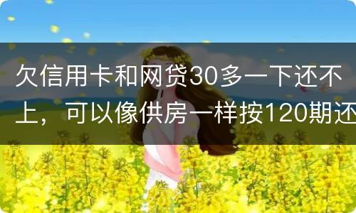 欠信用卡和网贷30多一下还不上，可以像供房一样按120期还吗