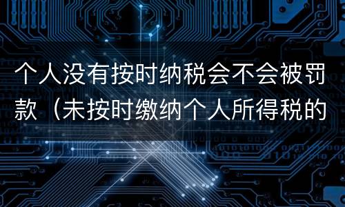 个人没有按时纳税会不会被罚款（未按时缴纳个人所得税的惩罚措施）