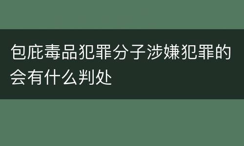 包庇毒品犯罪分子涉嫌犯罪的会有什么判处