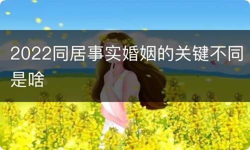 2022同居事实婚姻的关键不同是啥