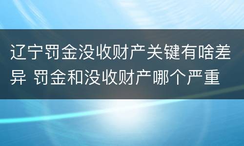 辽宁罚金没收财产关键有啥差异 罚金和没收财产哪个严重
