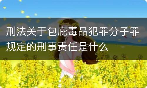 刑法关于包庇毒品犯罪分子罪规定的刑事责任是什么