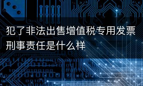 犯了非法出售增值税专用发票刑事责任是什么样