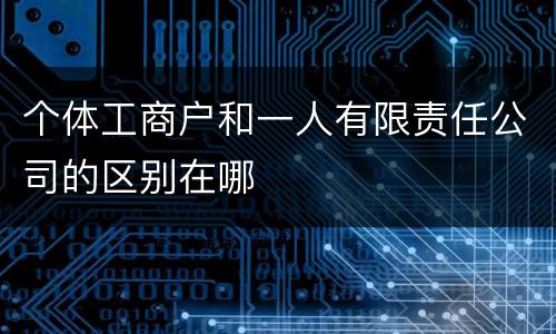 个体工商户和一人有限责任公司的区别在哪