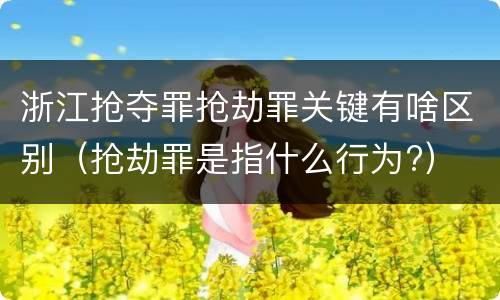 浙江抢夺罪抢劫罪关键有啥区别（抢劫罪是指什么行为?）