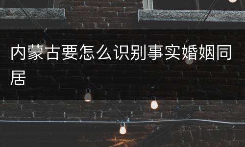 内蒙古要怎么识别事实婚姻同居