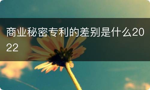 商业秘密专利的差别是什么2022